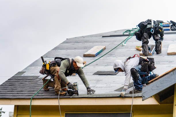 Professional Gutter Installation technician working in Jackson, MS